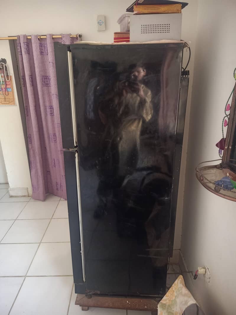 Glass Door Refrigerator – Stylish Black Fridge for Sale 2