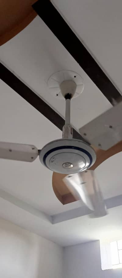 Ceiling Fans for sale