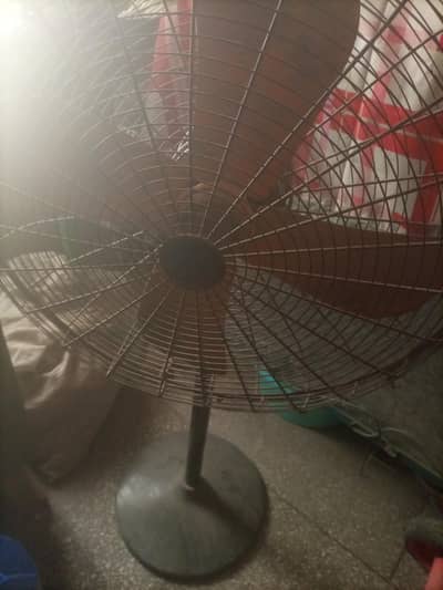 new fan