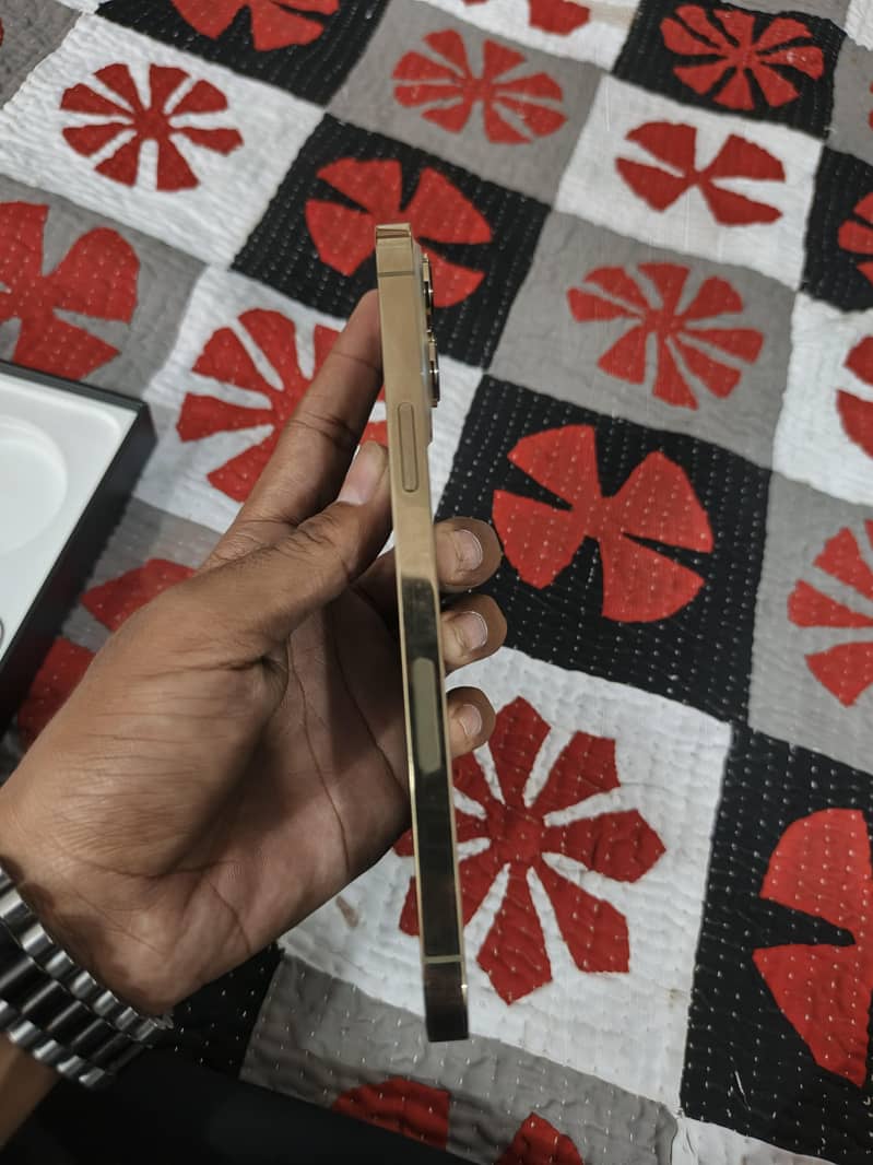 iPhone 13 Pro Max PTA Approved 256GB Physical + eSIM 5