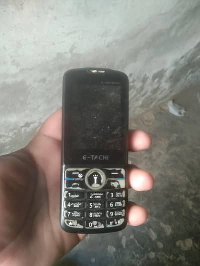 03047766339