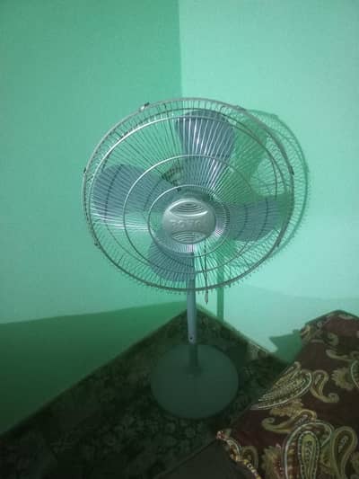 For Sale