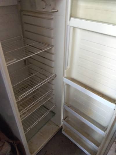 1 fridge and 1 freezer