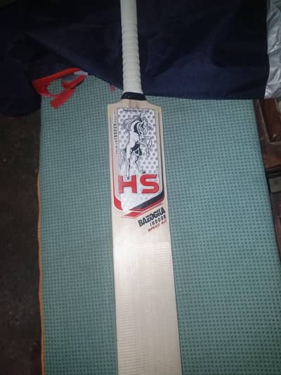 brand new HS BAT