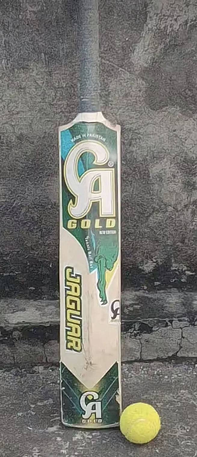 Cricket Bat 0