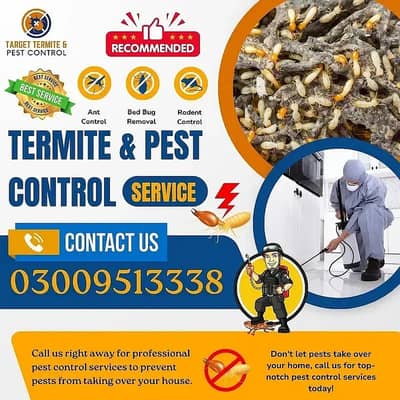 Mosquito Spray/Fumigation/Dengue Spray/Cockroach Spray| Pest Control