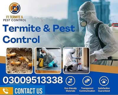 Termite control/Deemak control | Dengue Spray/Fumgation Service