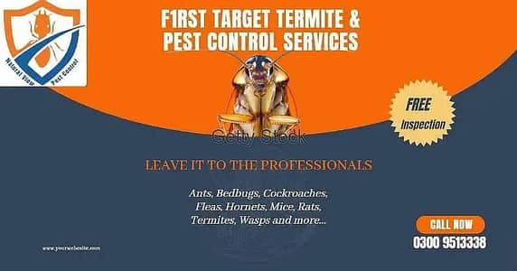 Termite control/Deemak control | Dengue Spray/Fumgation Service