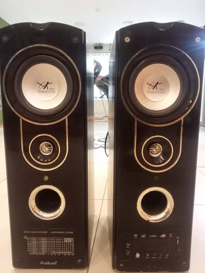 Audionic  Speakers - ( Price 13000 )