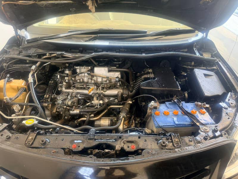 carolla 6