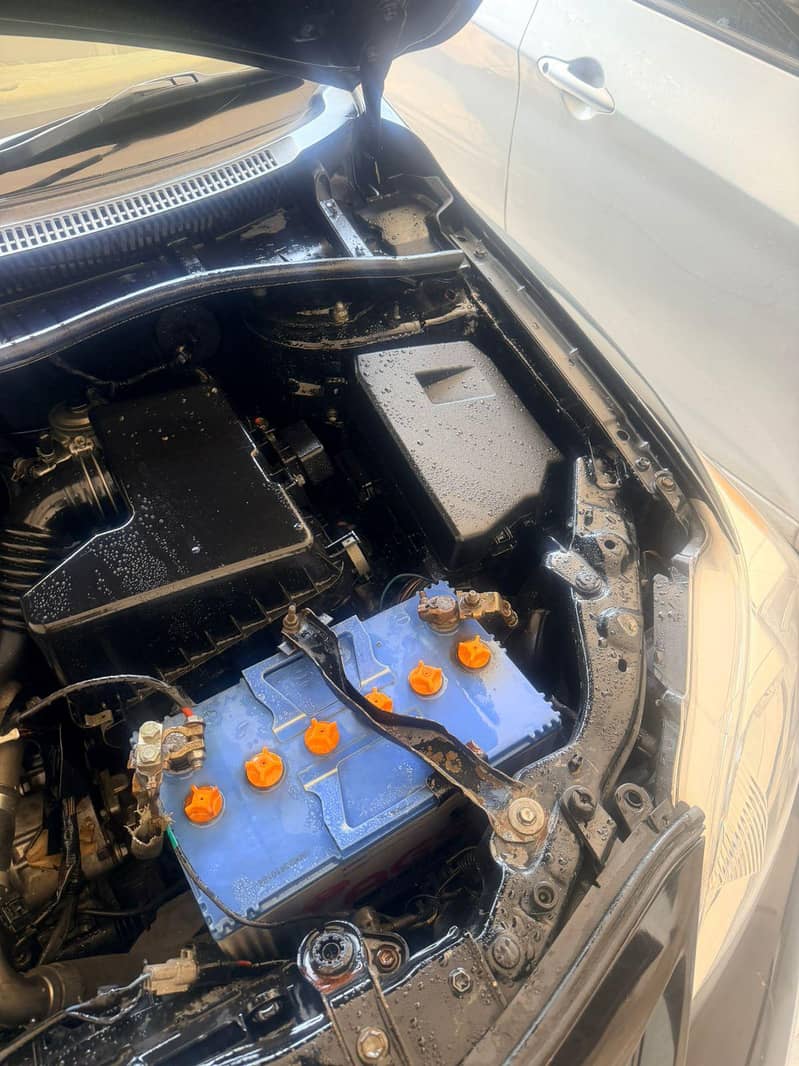 carolla 8