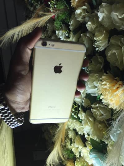 iphone 6 plus non pta