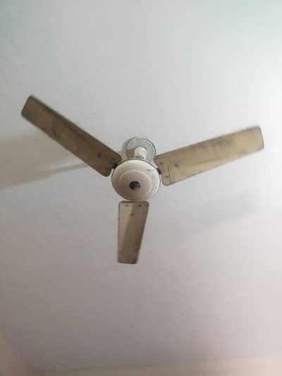 I have celling fans in good condition