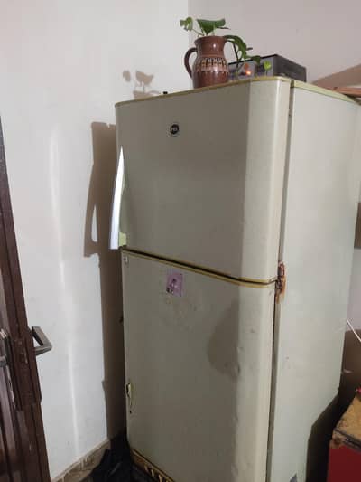 Pel double door fridge  good working 10/10