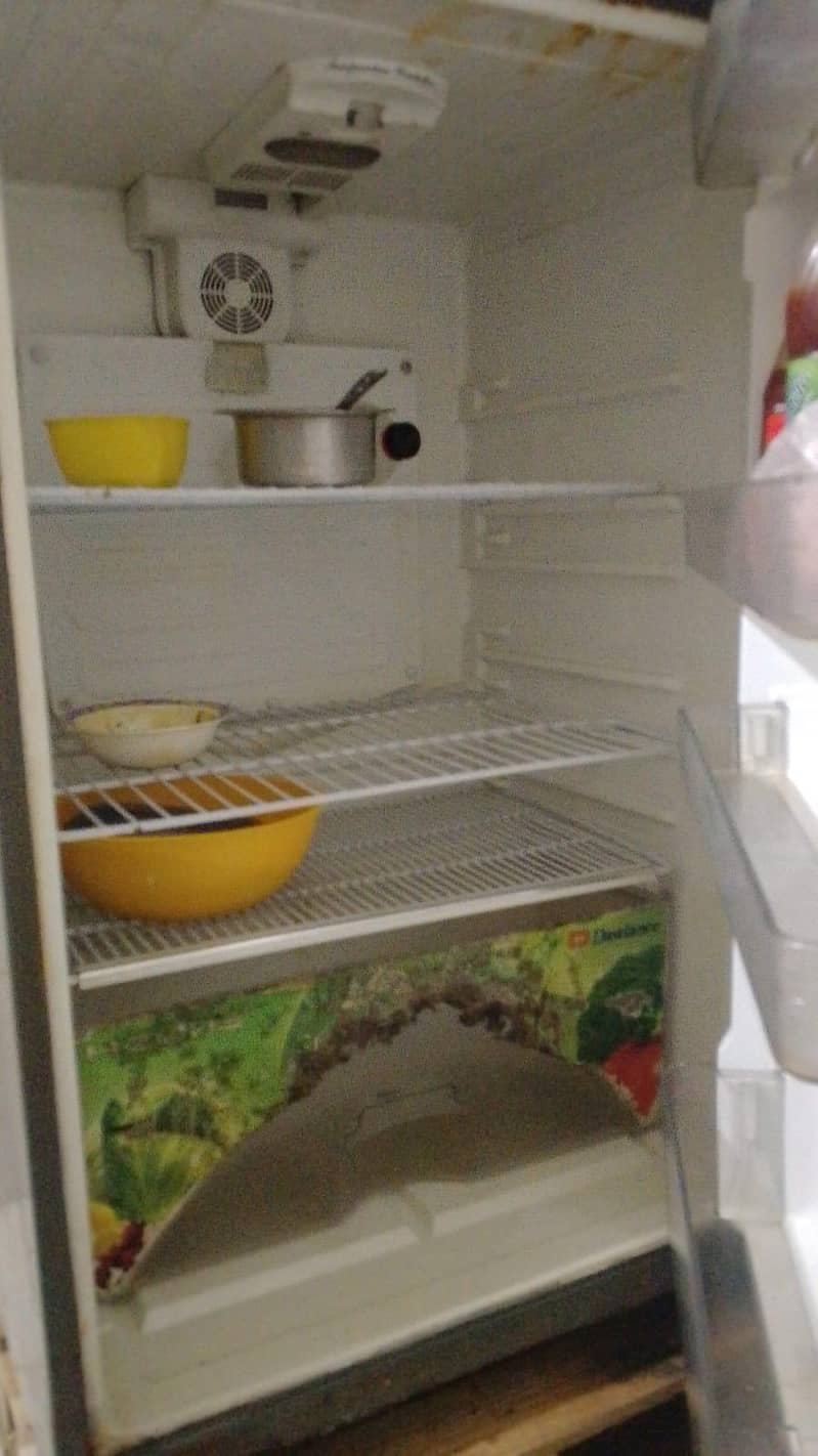 fridge 2