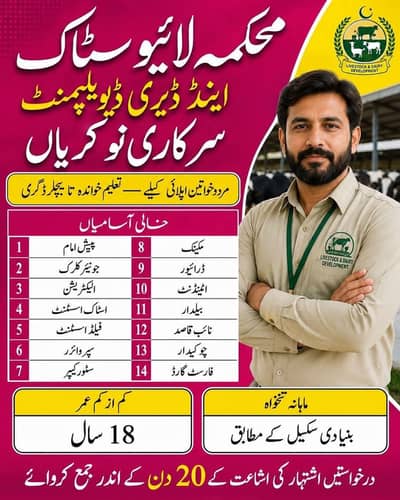 government and private job  03490805143 per apni CV Whatsp kr