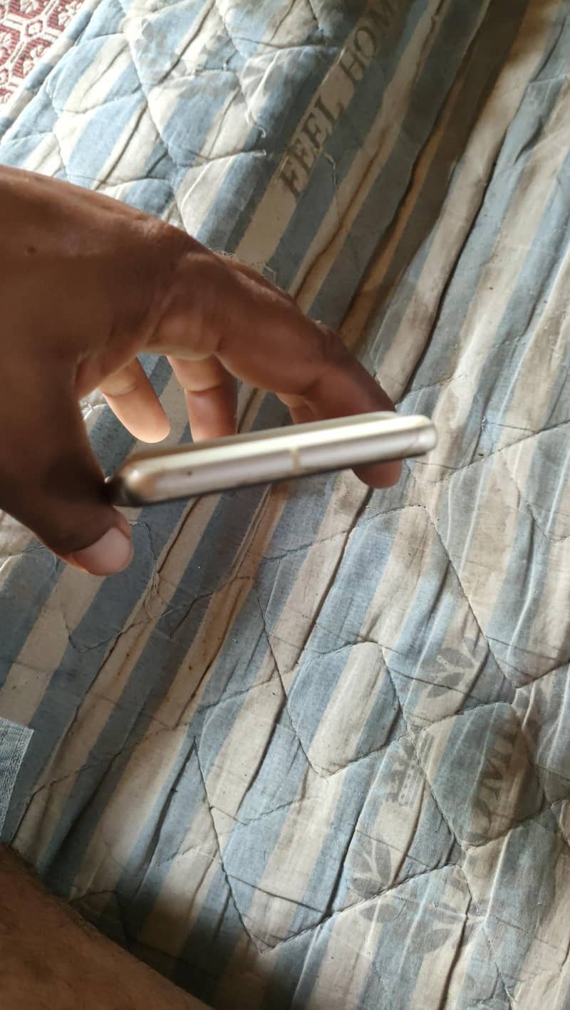 google pixel 7 5
