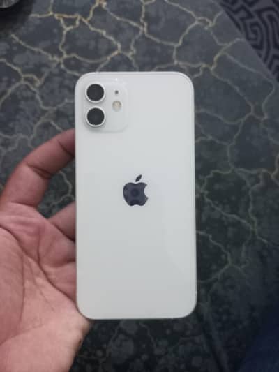 IPhone 12 (waterpack)