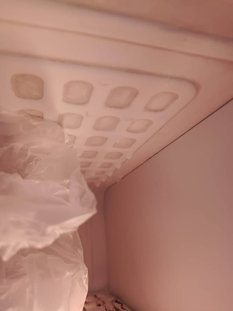 Orient Fridge 2