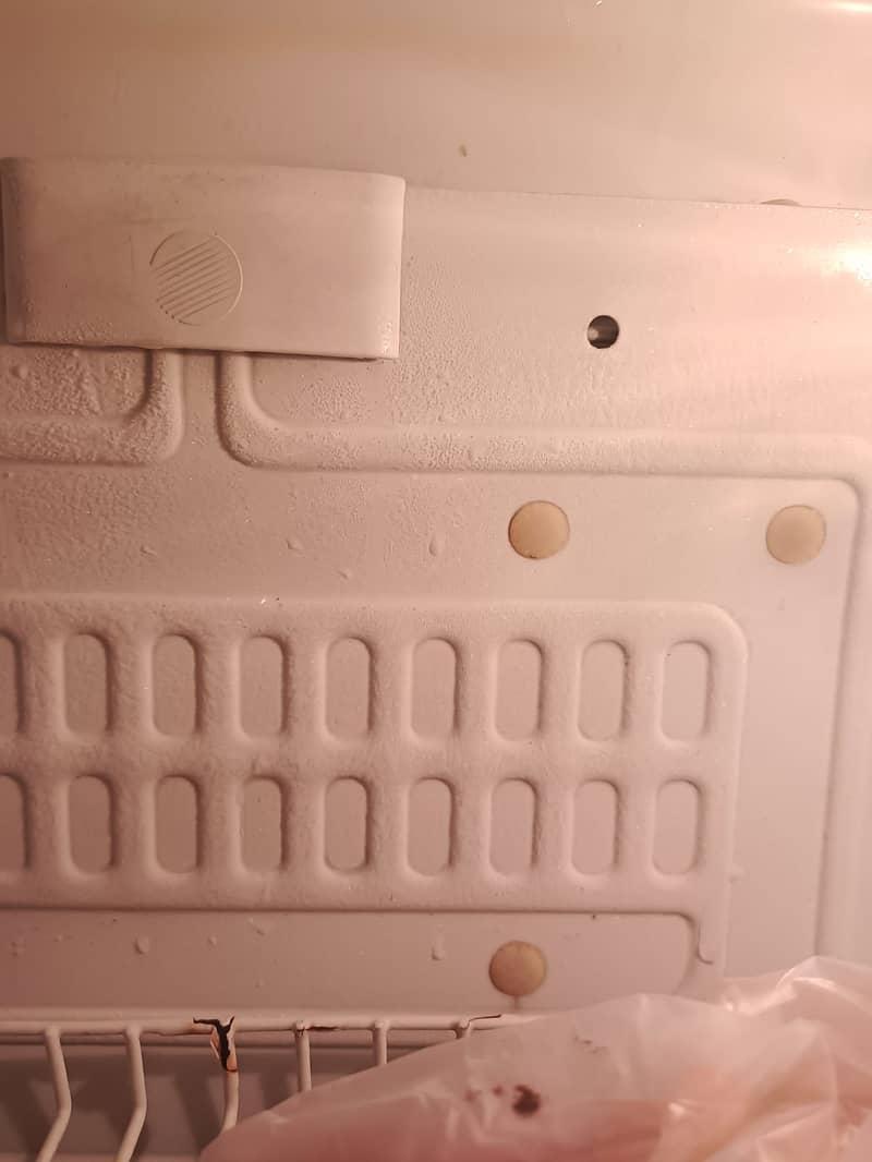 Orient Fridge 5