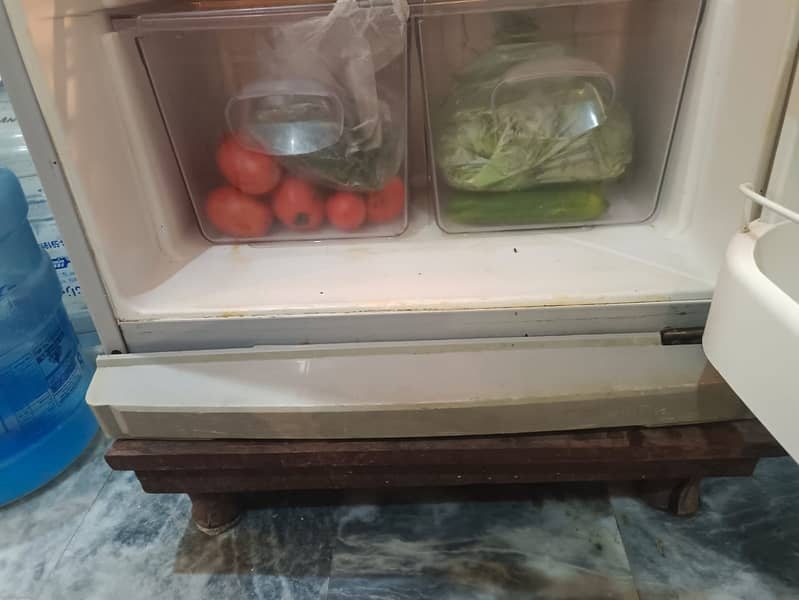Orient Fridge 11