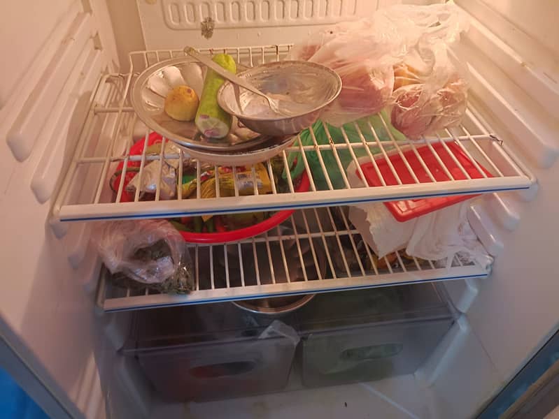 Orient Fridge 12