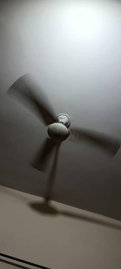 Fan for sale