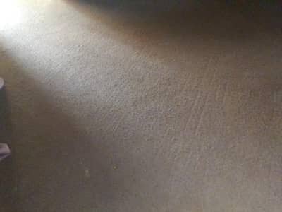 brown carpet