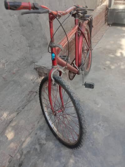 kami beshi ho jye gi