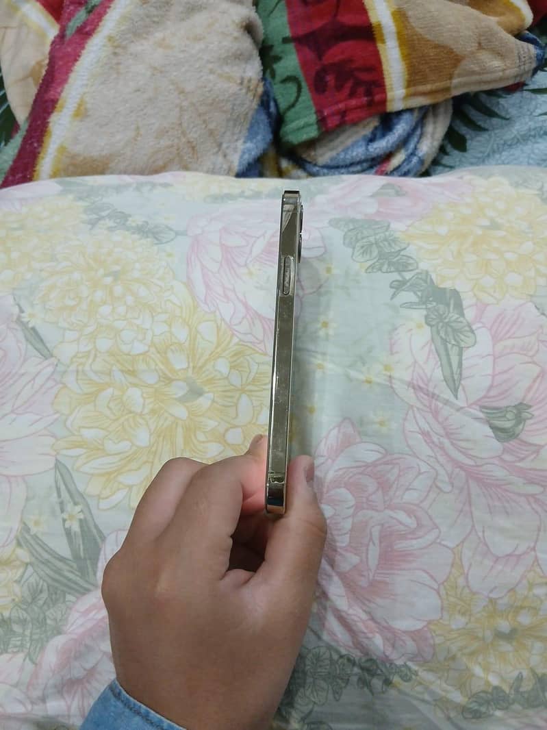 iphone 12 pro 2