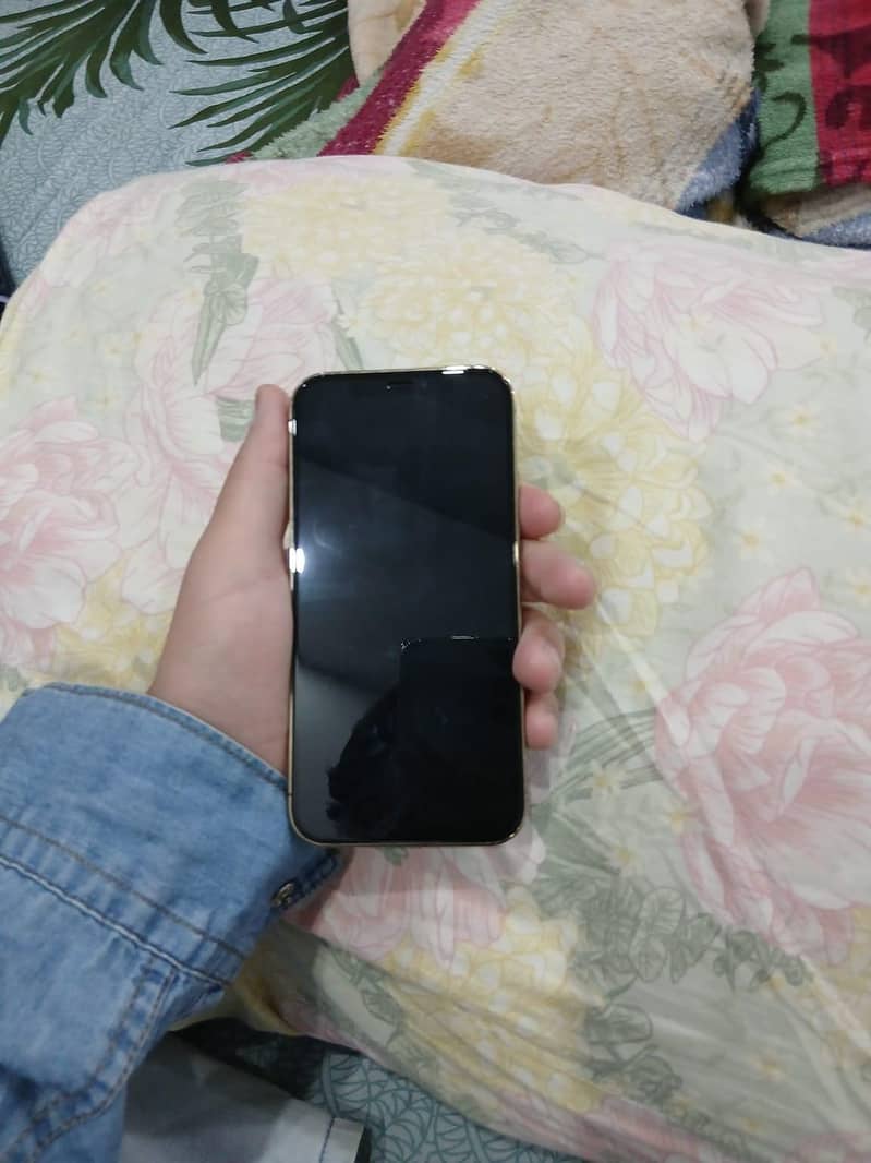 iphone 12 pro 5