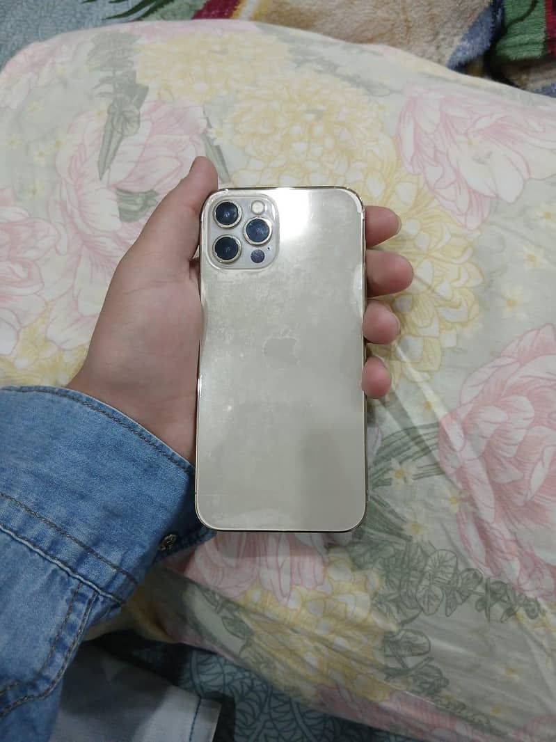 iphone 12 pro 6
