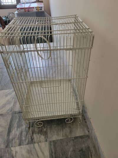 Bird Cage fancy