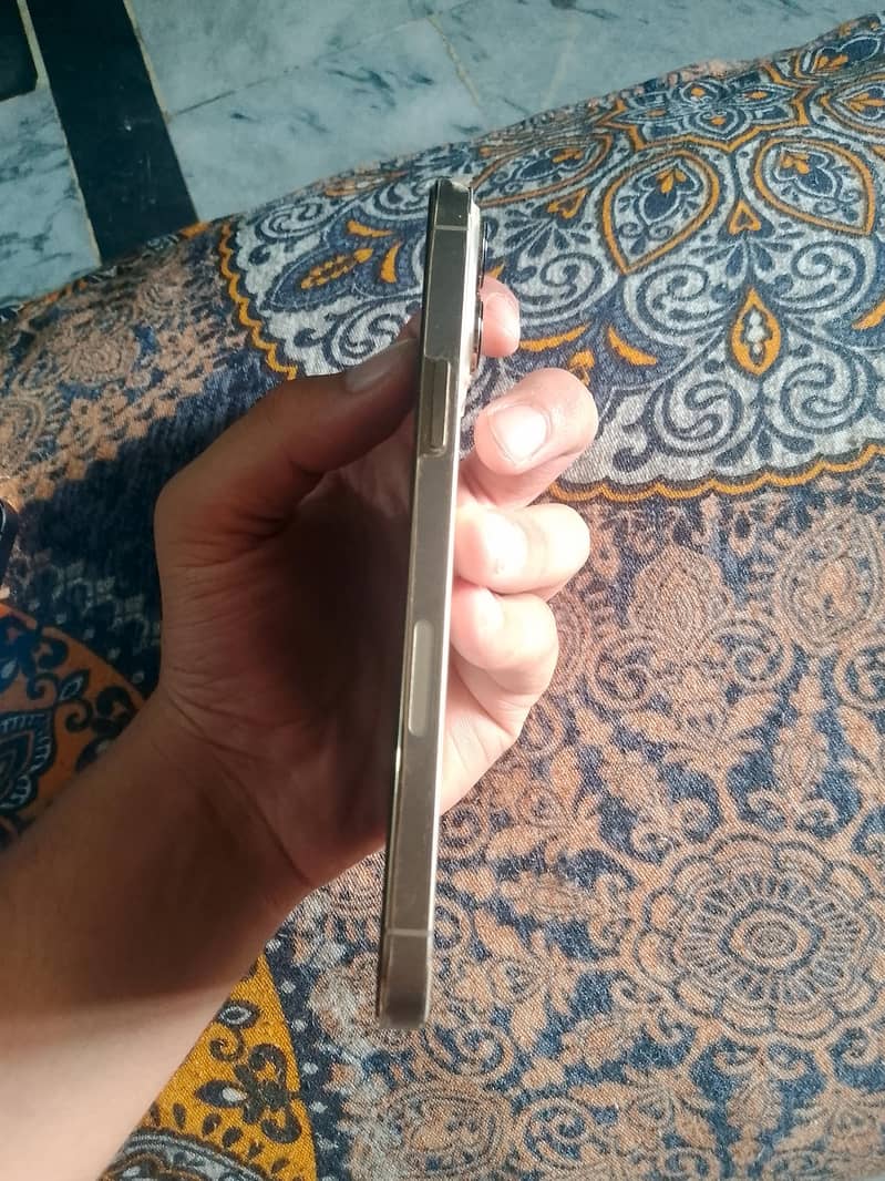 13 pro max 2