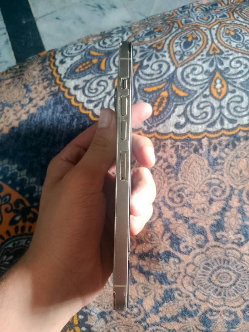 13 pro max 3