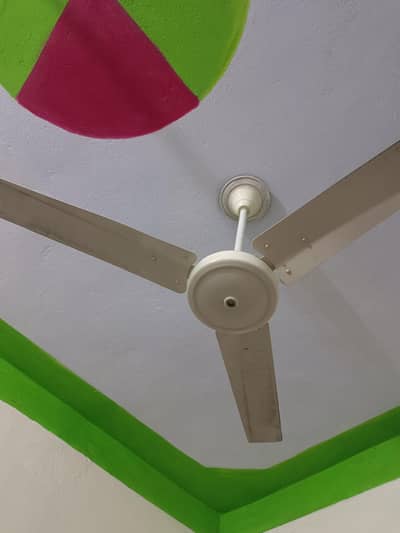 fans for sell