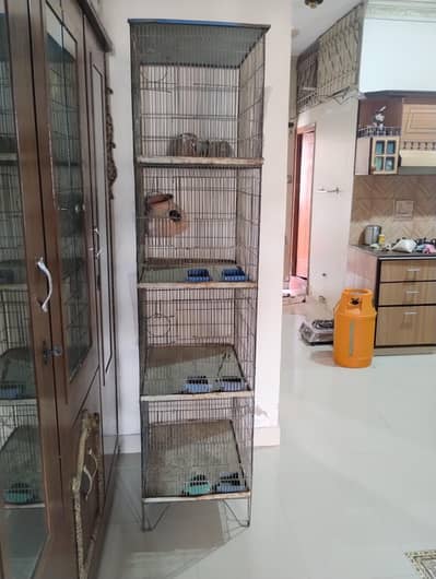 4 Portion Big Bird Cage with Matki & Payli (Excellent Condition)