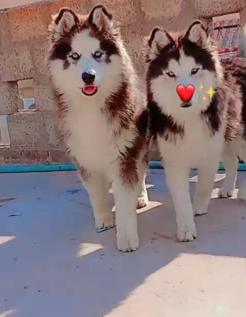 10 month 3