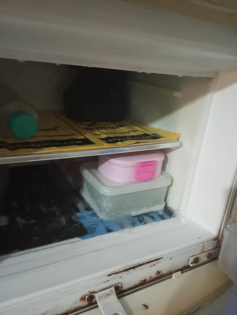 waves Refrigerators 1