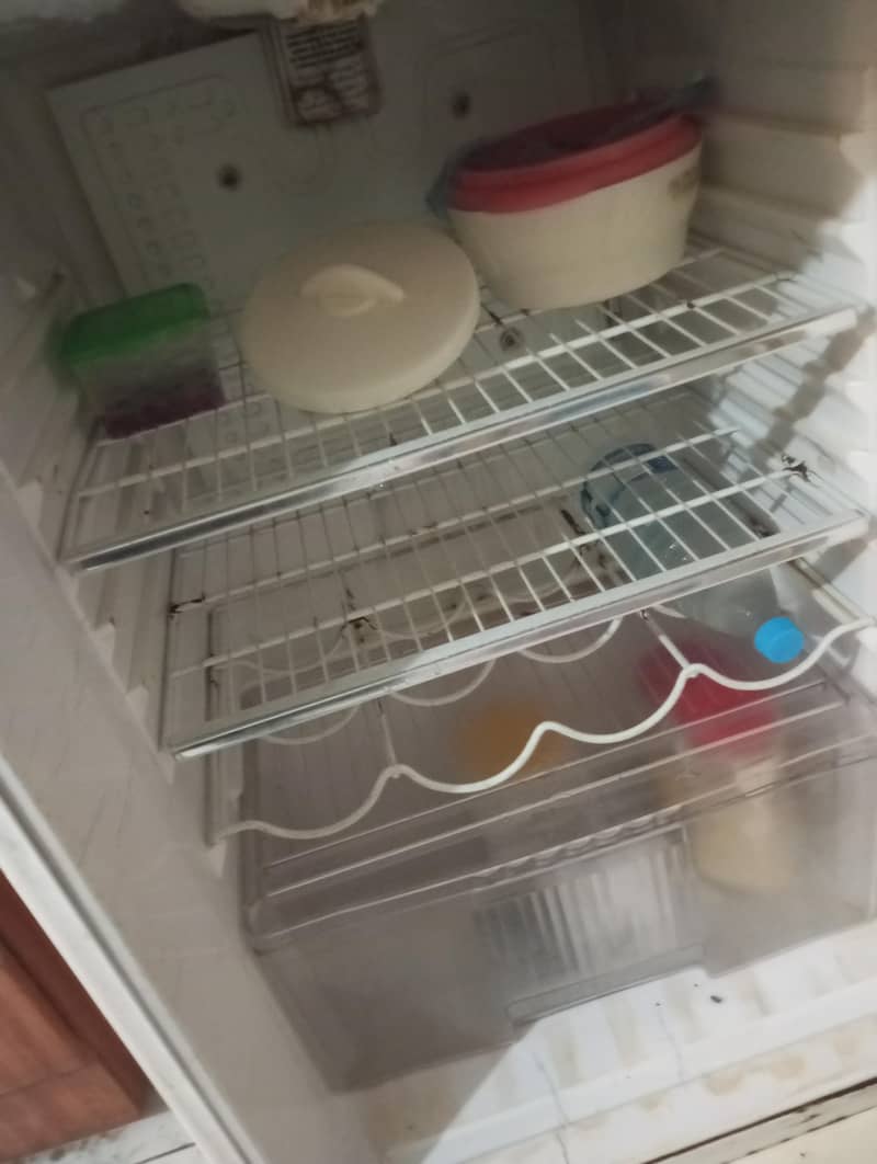 waves Refrigerators 4
