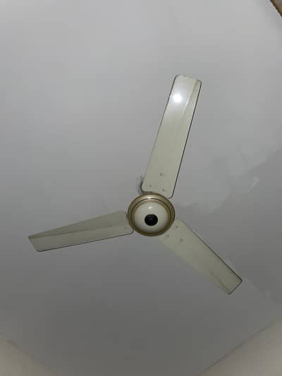 GFC Ceiling Fan