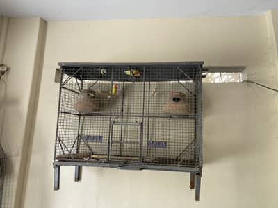 Heavy metal cage strong