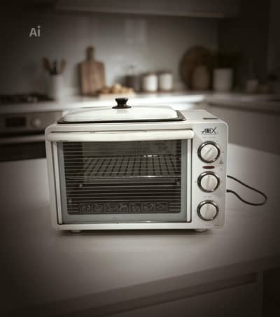 Grill oven of Anex Germany product