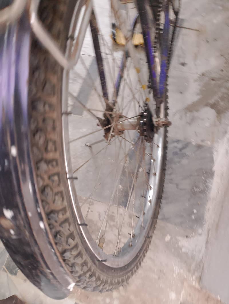 bicycle 2