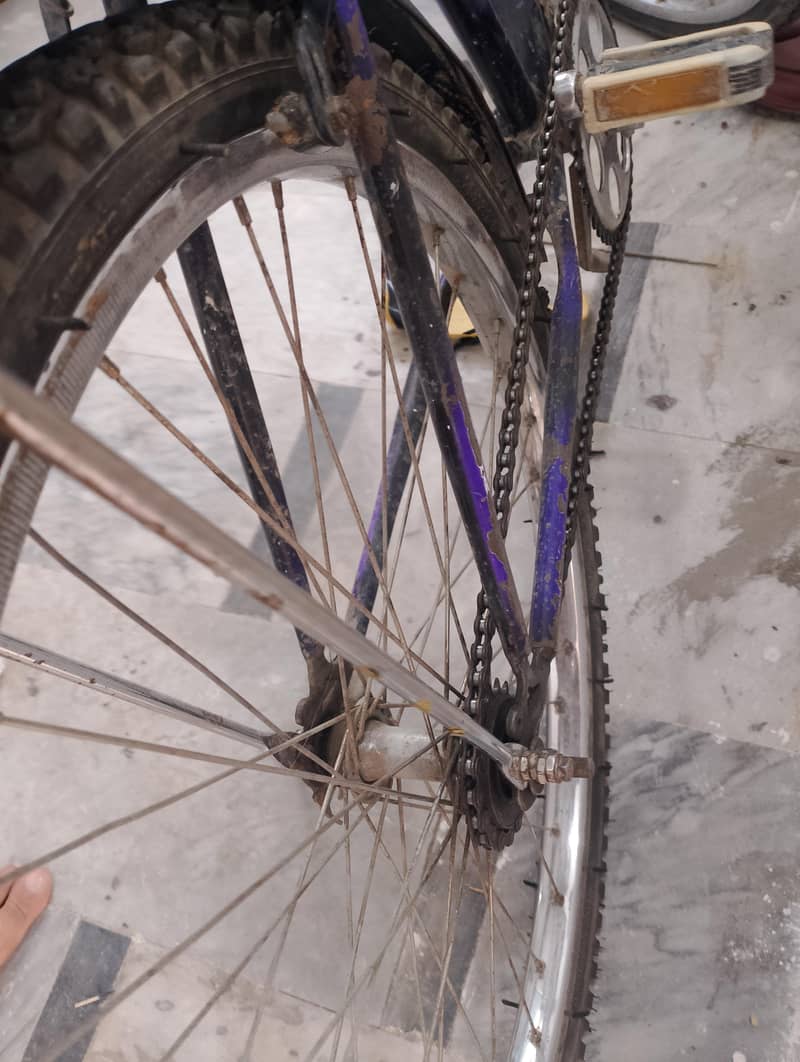 bicycle 3