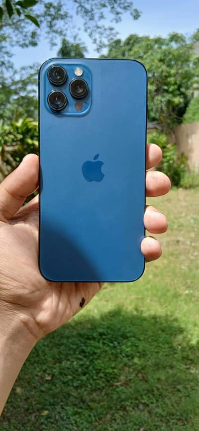iphone 12 pro max pta approved