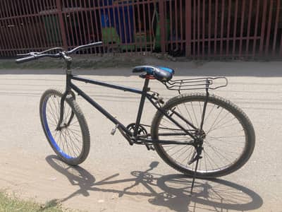 giant cycle