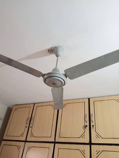 Ceiling Fan