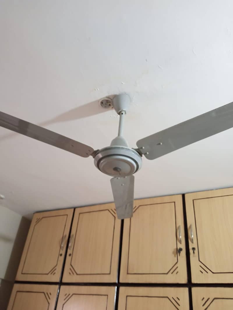 Ceiling Fan 1