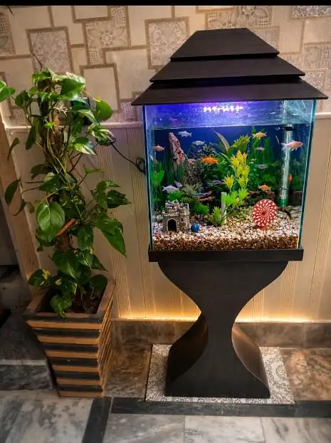 fish acorium